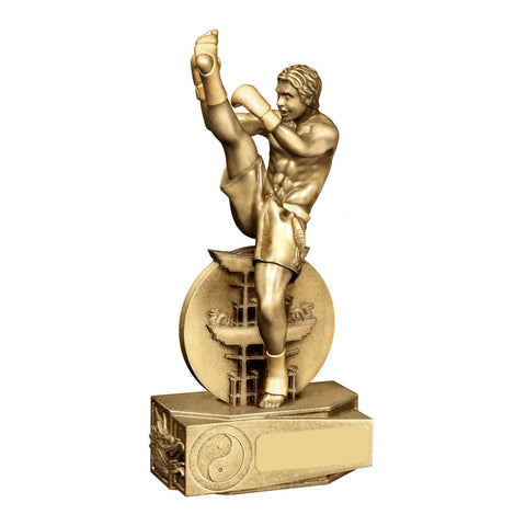 Martial Arts Trophies