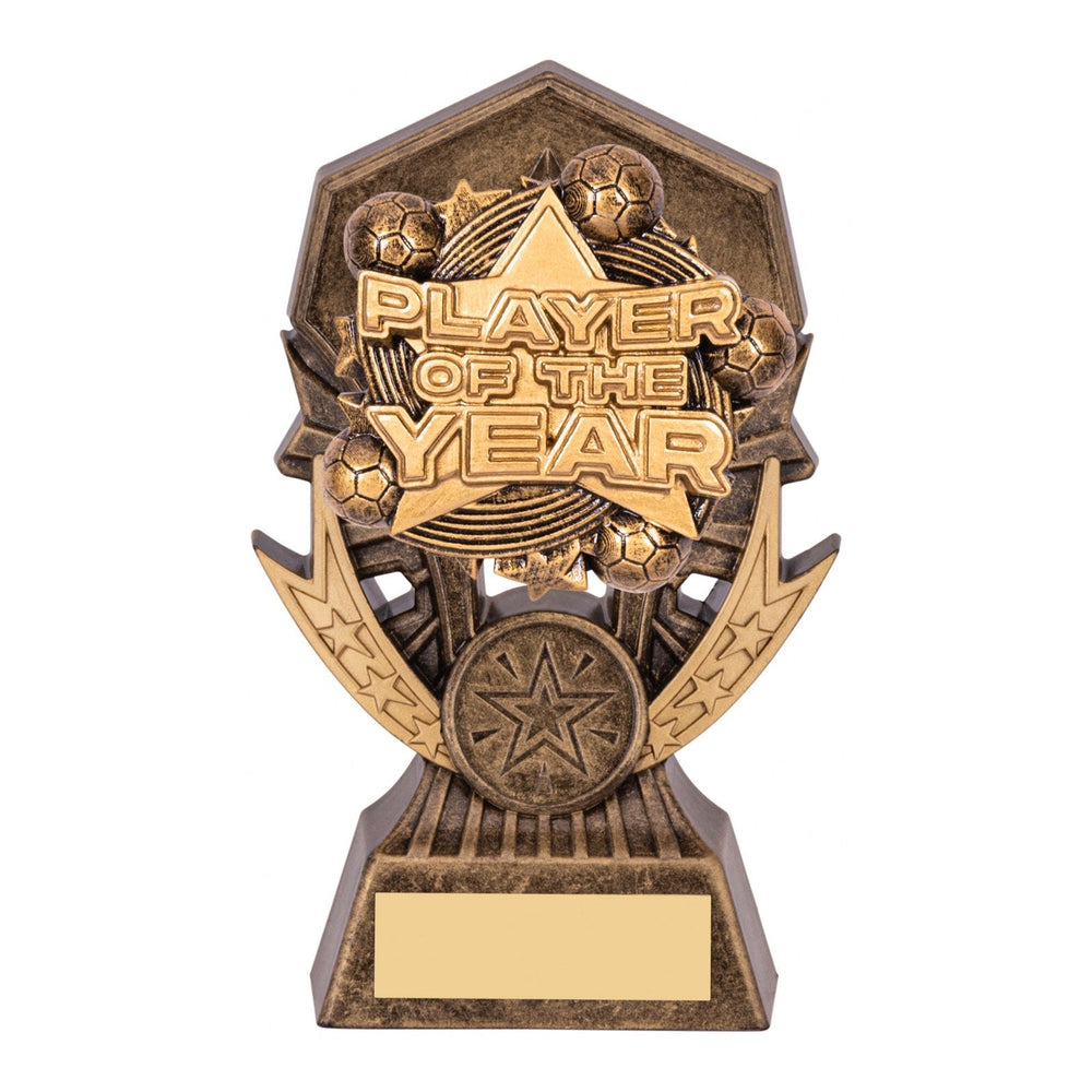 Allstar Player of the Year Football Trophy