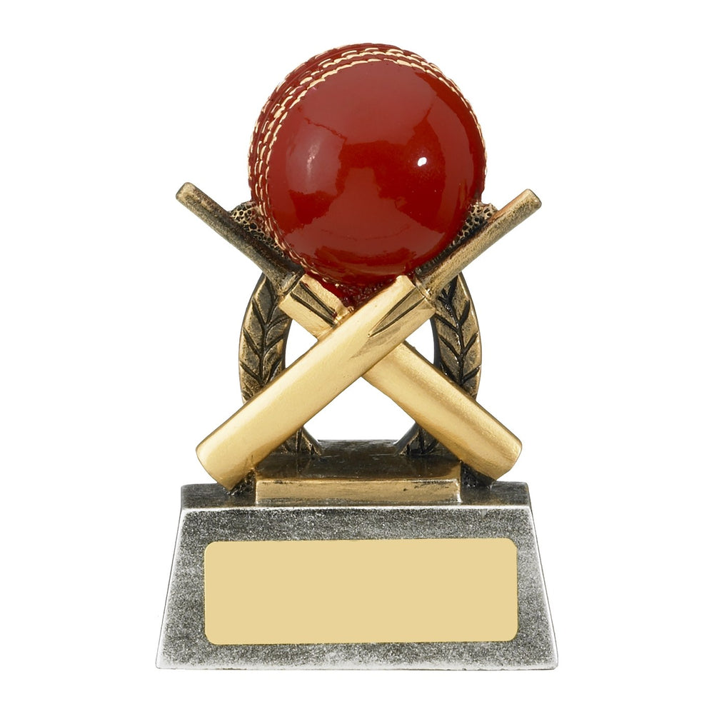 Escapade Cricket Award