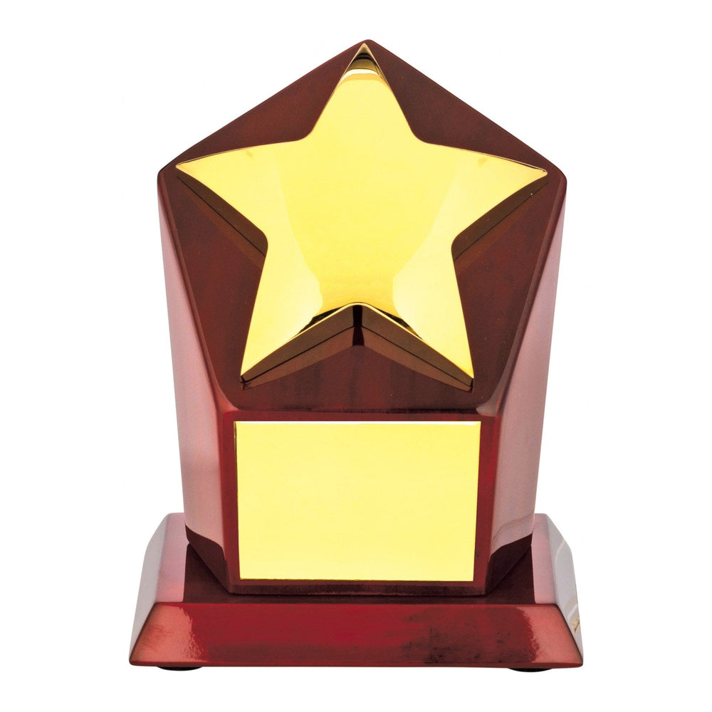 Gold Star Presentation Award