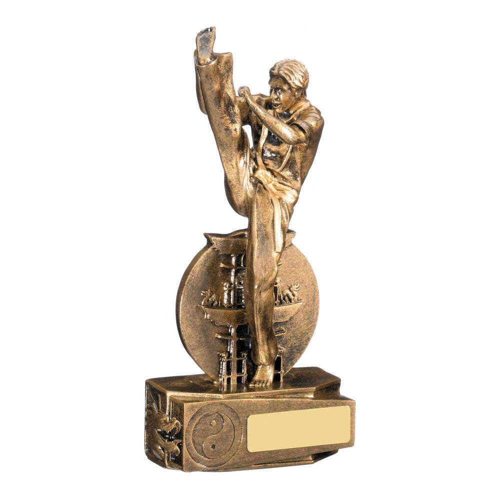 Martial Arts Kick Trophy