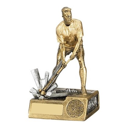 Hockey Trophies