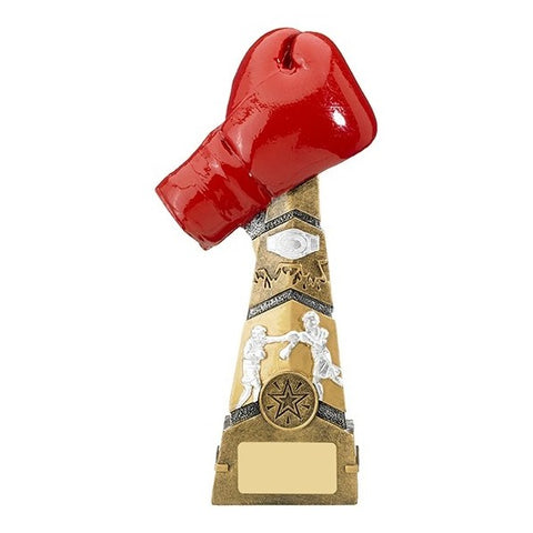 Boxing Trophies