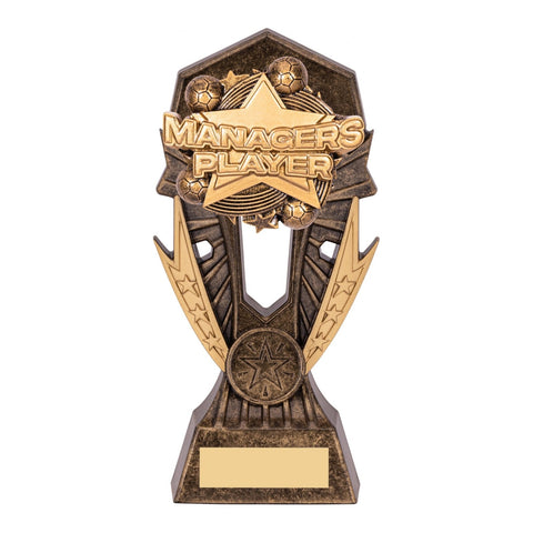 Allstar Manager's Player Football Trophy, 185mm, with engraved plate