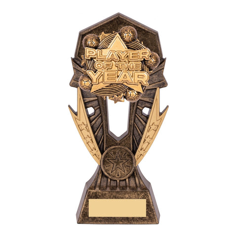 Allstar Player of the Year Football Trophy, 185mm, with engraved plate