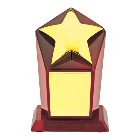 Gold Star Presentation Award, 150mm, with engraved plate