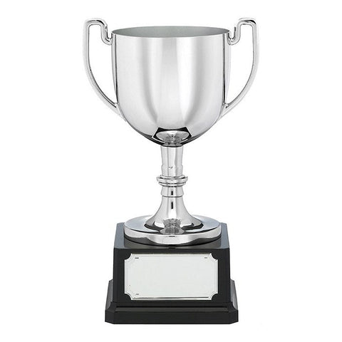 Nickel Plated Presentation Cup, 185mm, with engraved plate