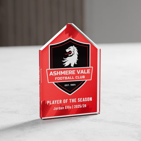 Pinnacle Acrylic Award, 10cm, with engraved plate