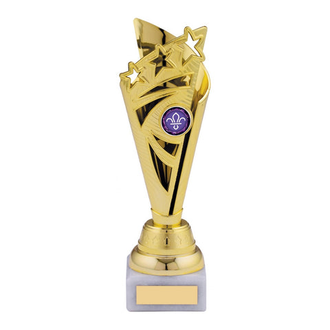 Star Flare Trophy, 225mm, Gold, with engraved plate